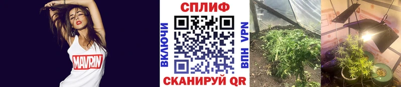 Виды наркоты Стерлитамак А ПВП COCAIN МДМА Гашиш Меф