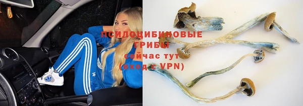 героин Абаза