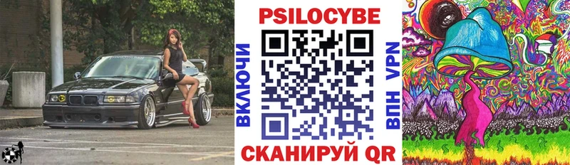 Галлюциногенные грибы Psilocybine cubensis  закладка  Стерлитамак 