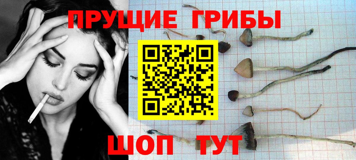 Галлюциногенные грибы мицелий Стерлитамак