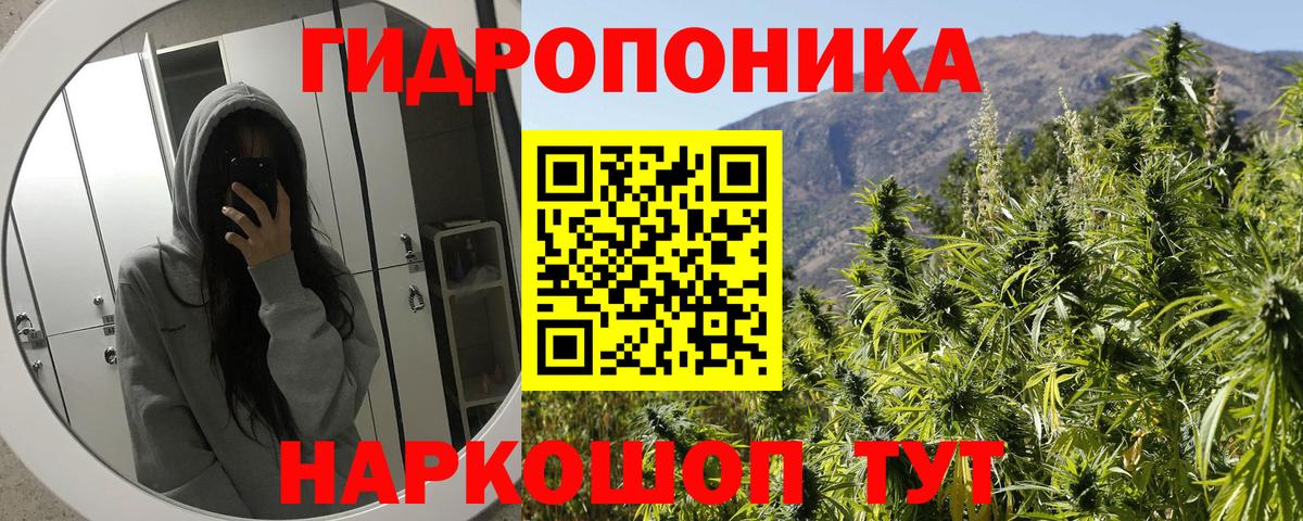 Конопля SATIVA & INDICA  Бошки марихуана семена  Марихуана Ganja  Вход с VPN  Стерлитамак  Бошки Шишки OG Kush 